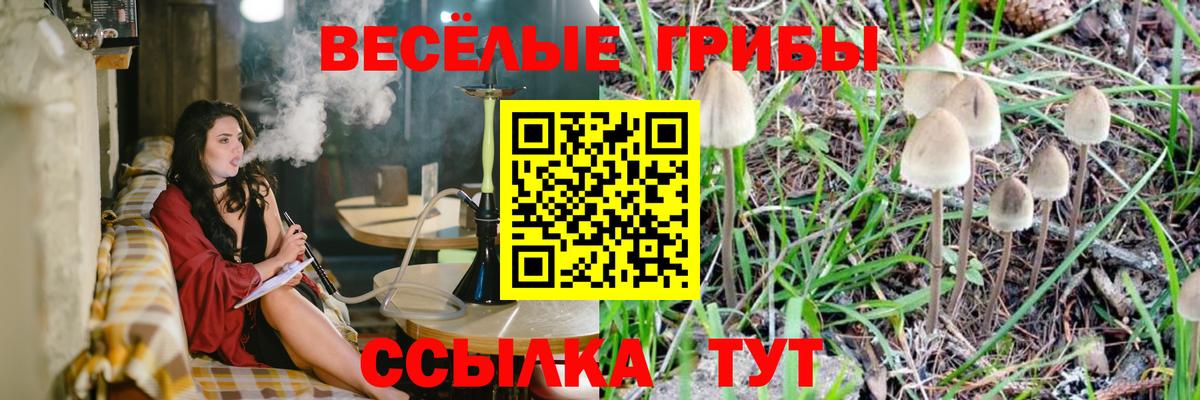 Псилоцибиновые грибы прущие грибы Черкесск