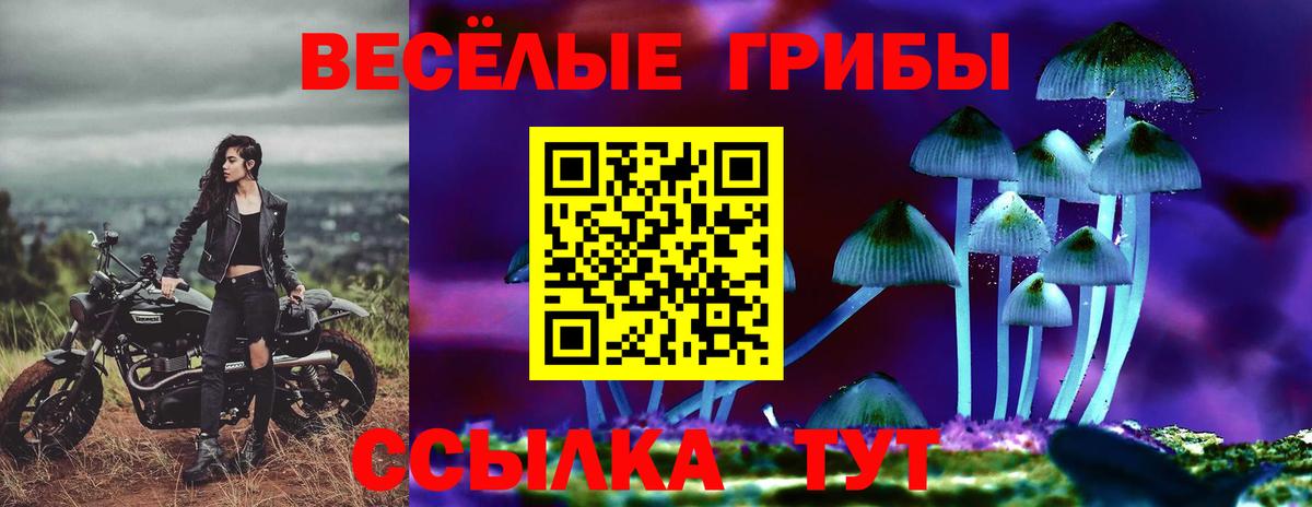 Псилоцибиновые грибы Cubensis  Вход с VPN  Черкесск 